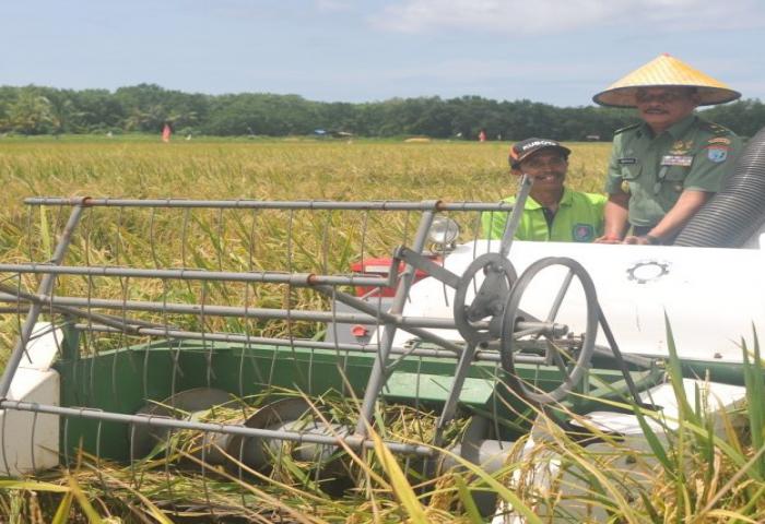 Kodam XII/TPR Siap Buka Sawah 1.500 Hektare